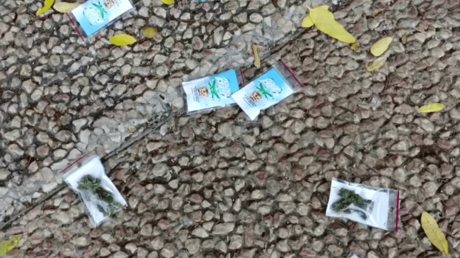 Weed on the ground in Tel Aviv after a drone promoting a delivery service dropped bags of marijuana in and around  (Screenshot: Reuters, Fair Use)