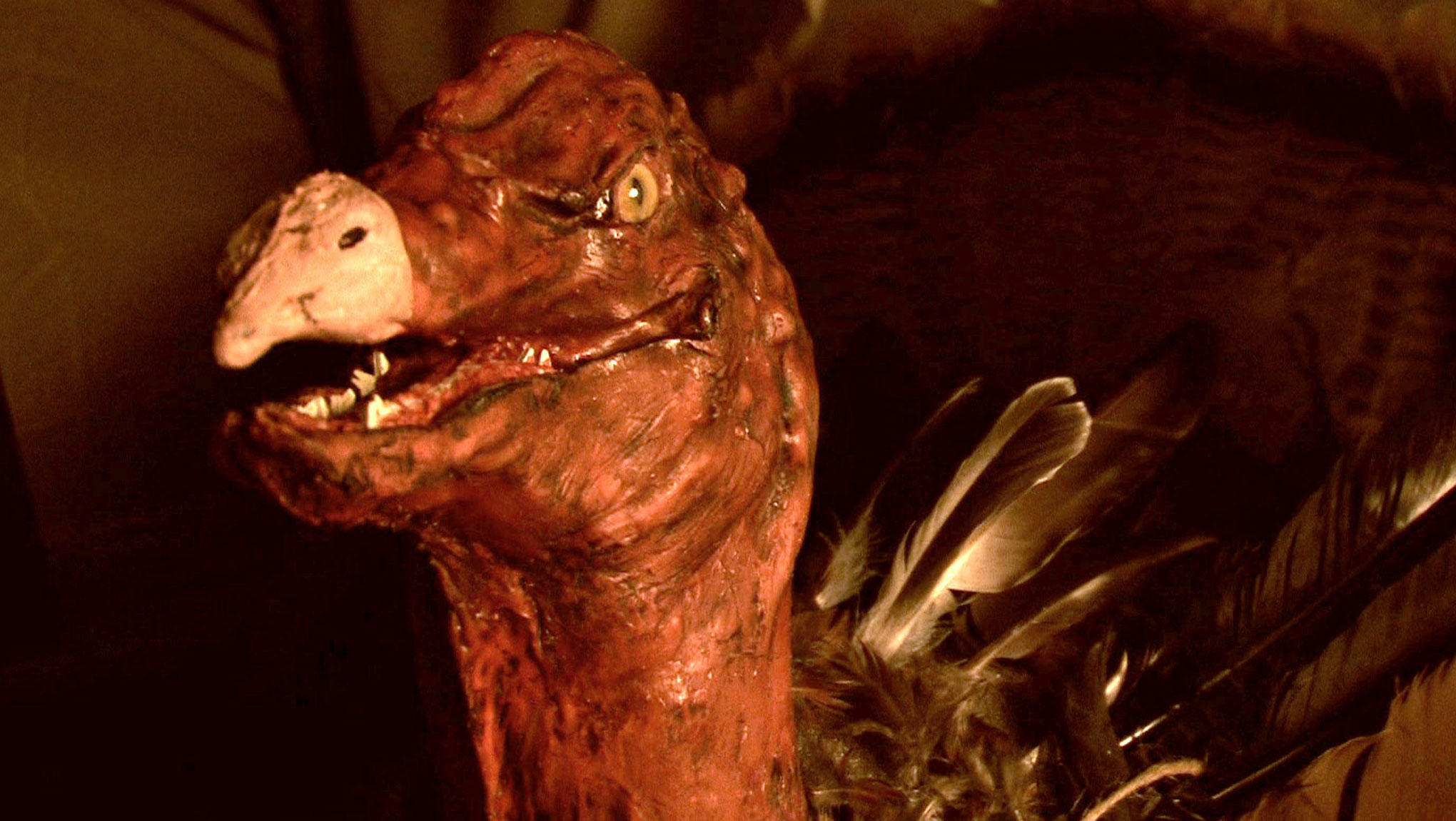 Why yes, that's a killer turkey, from ThanksKilling. (Image: In Broad Daylight Films)