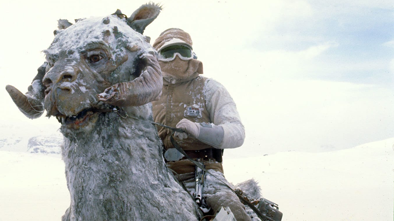 A poor tauntaun, ready to face even more injustices. (Image: Lucasfilm)