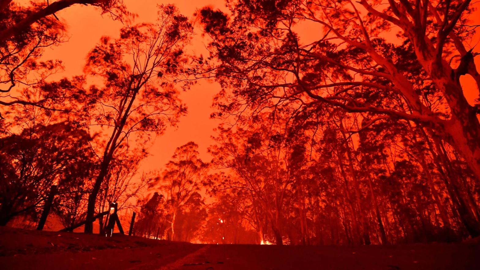 Red skies are common after wildfires, as seen above in Australia in late 2019 (Photo: Saeed Khan/AFP, Getty Images)