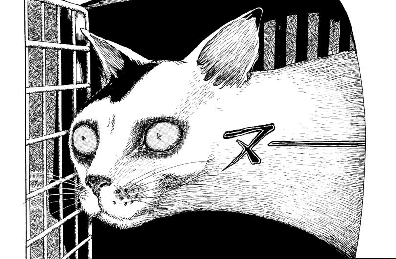 10 Best Horror Mangakas To Read If You Love Junji Ito