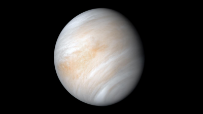 Now That Venus Is a Candidate for Alien Life, What’s Next?