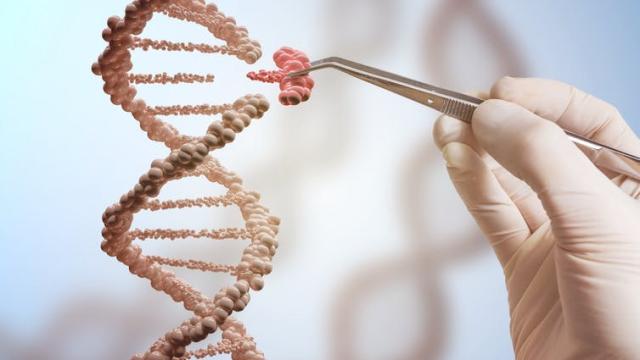 Why We Need a Global Citizens’ Assembly on Gene Editing