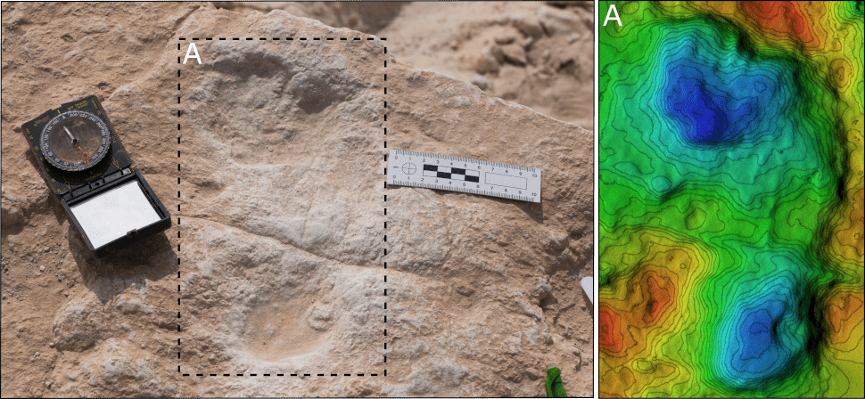 The first human footprint discovered at the site and its corresponding digital elevation model (DEM). (Image: Stewart et al., 2020)