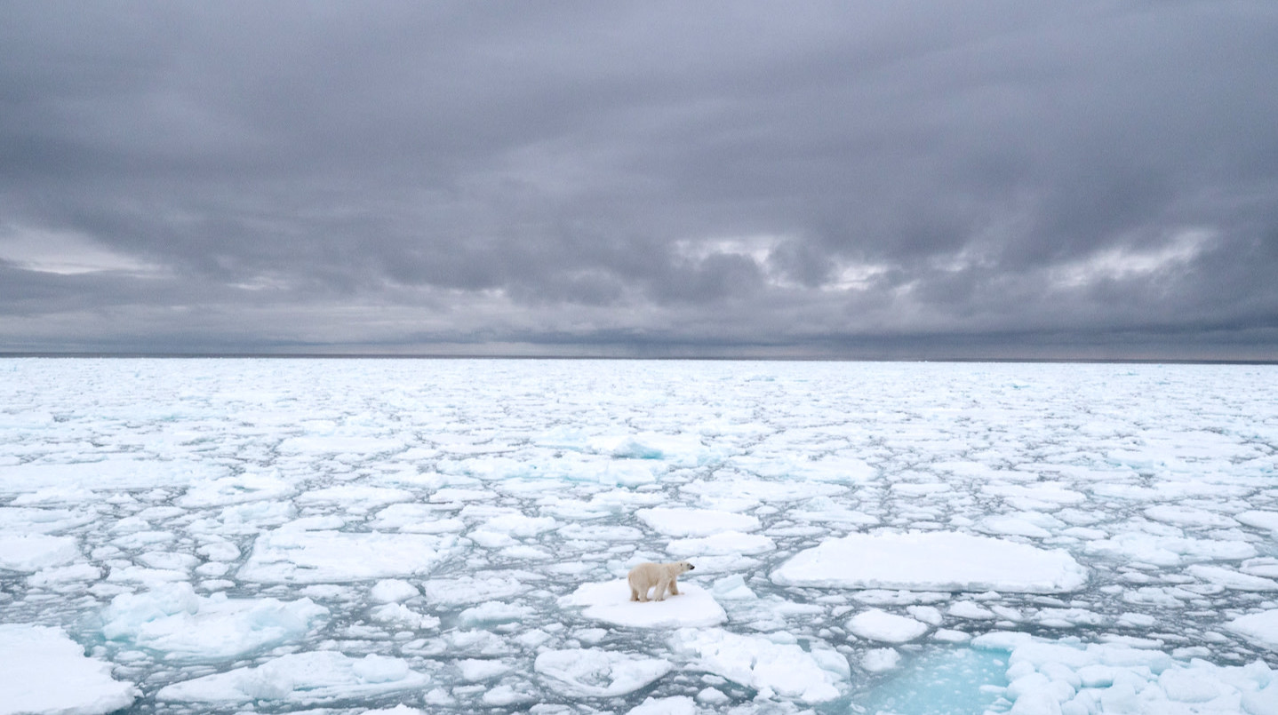This is bad news for this guy — and for all of us. (Photo: BJ Kirschhoffer/Polar Bears International)