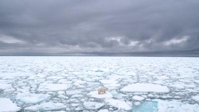 Arctic Sea Ice Hit a Scary Milestone
