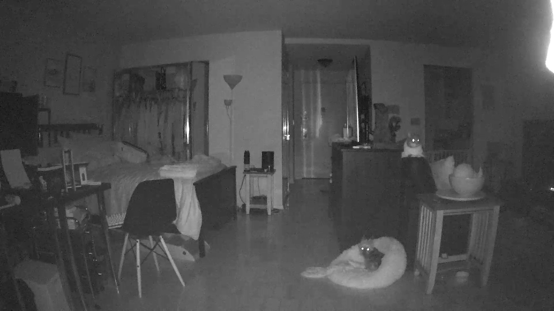 DEMON EYES. This is the picture quality you get in Night Vision.  (Screenshot: Victoria Song/Gizmodo)