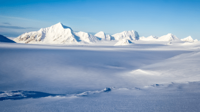 Svalbard Glaciers Lost Their Protective Buffer in the Mid-1980s and Have Been Melting Ever Since