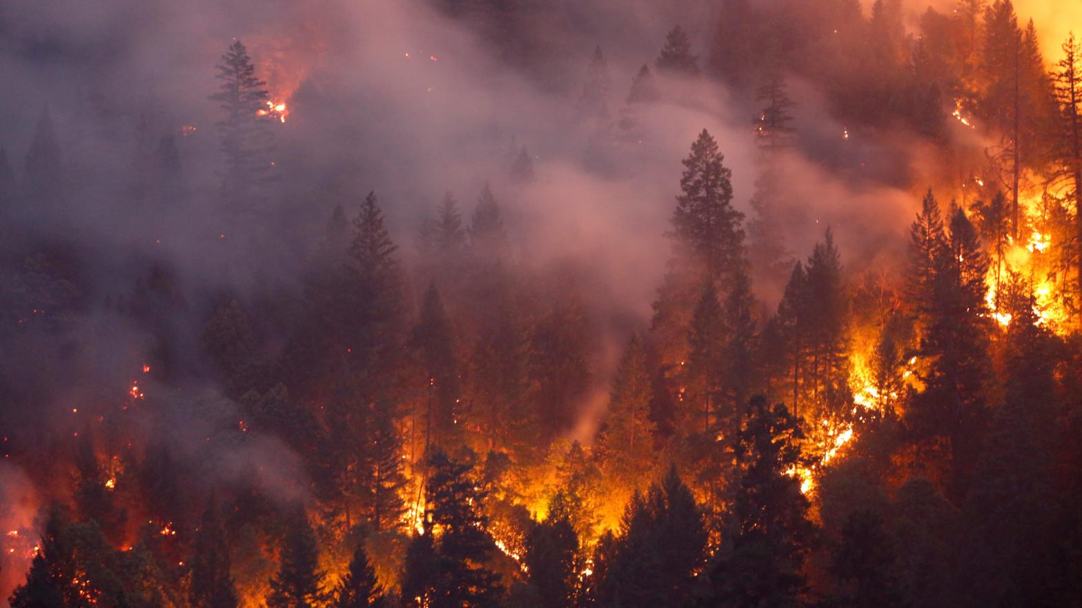 Drought+Heat=Hell (Photo: Terray Sylvester, Getty Images)