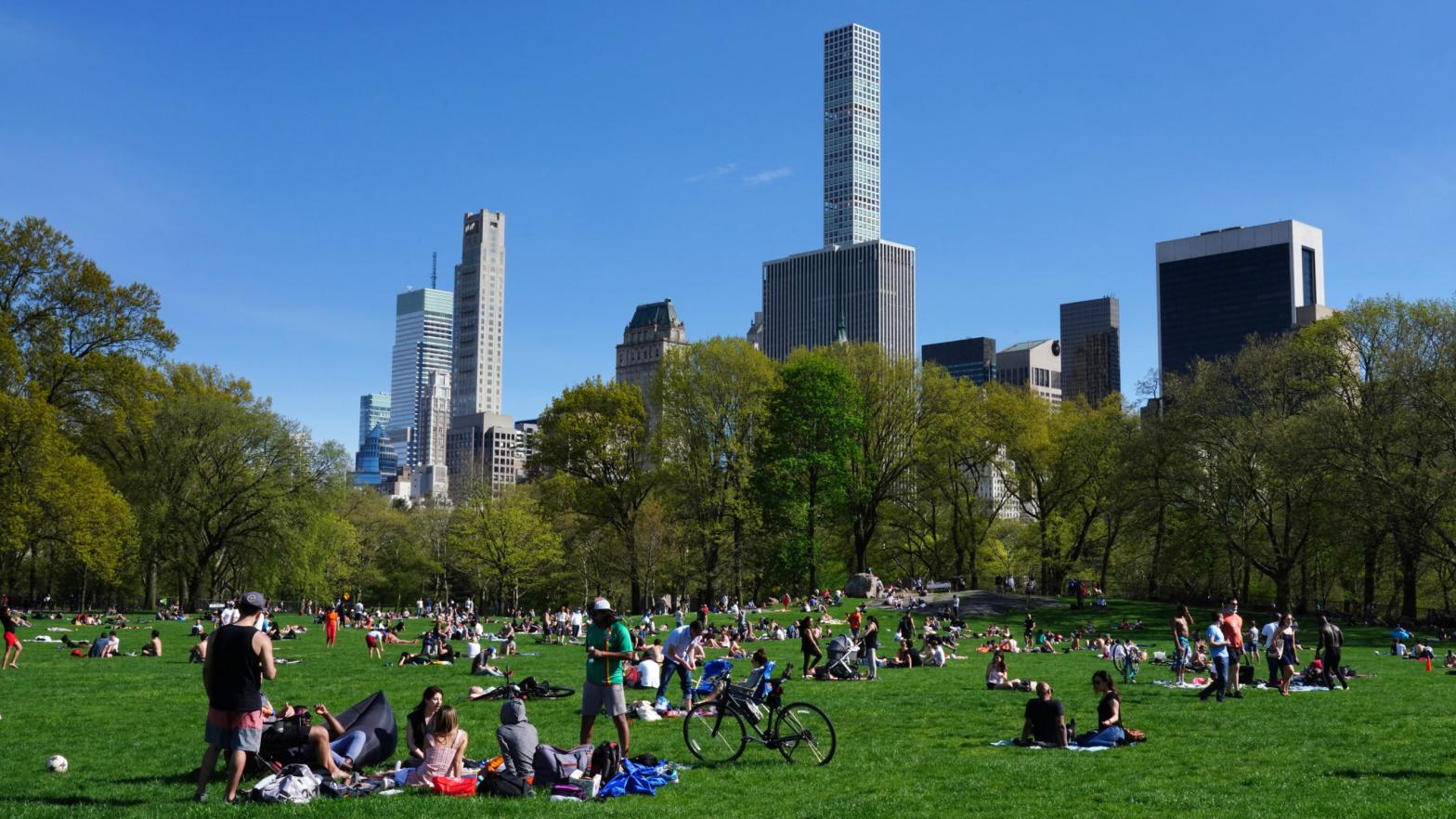 The good life in Central Park. (Photo: Cindy Ord, Getty Images)