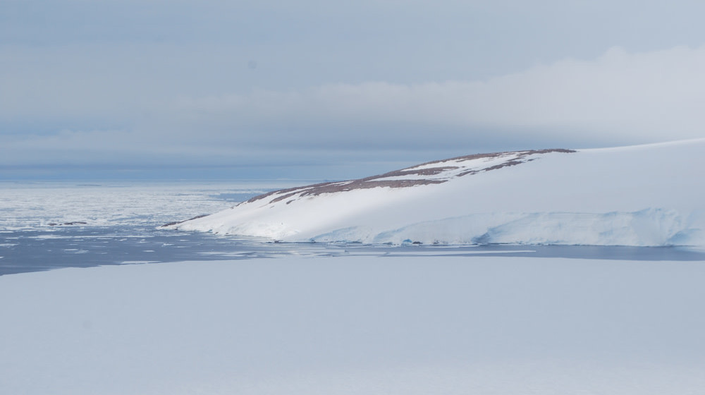 Cape Irizar on the Ross Sea in Antarctica. (Image: Steven Emslie)