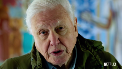David Attenborough: A Life on Our Planet Nails the Planetary Problems But Misses the Political Ones