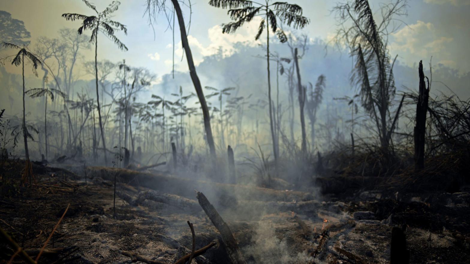 View of a burnt area of Amazon rainforest reserve in Para, Brazil on August 16, 2020. (Photo: Carl De Souza, Getty Images)