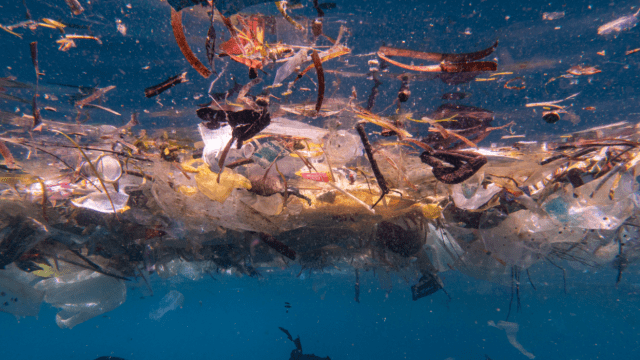 We Estimate There Are Up To 14 Million Tonnes of Microplastics on the Seafloor