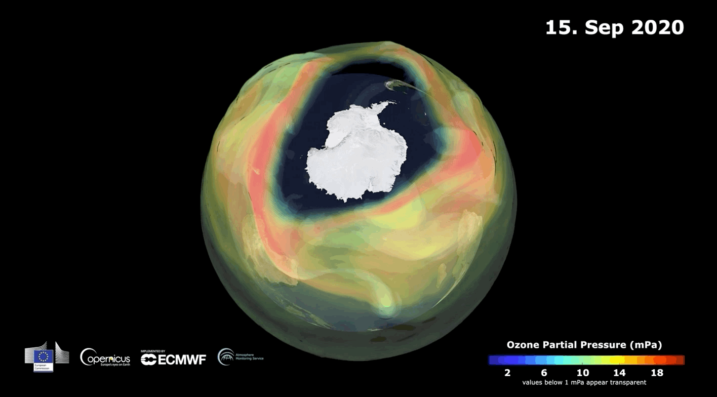 An animation showing the ozone hole over Antarctica in late September. (Gif: ECMWF)