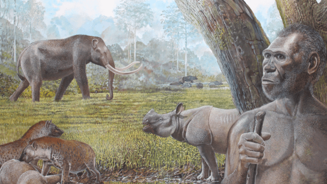 It Was Growing Rainforests That Killed Off Southeast Asia’s Giant Hyenas and Other Megafauna