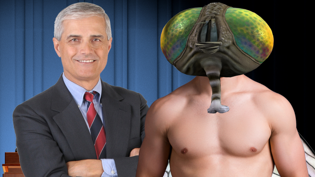 Mike Pence and the Fly Has Already Been Turned Into Porn by Chuck Tingle