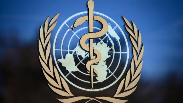 No, the World Health Organisation Did Not ‘Backflip’ on Lockdowns