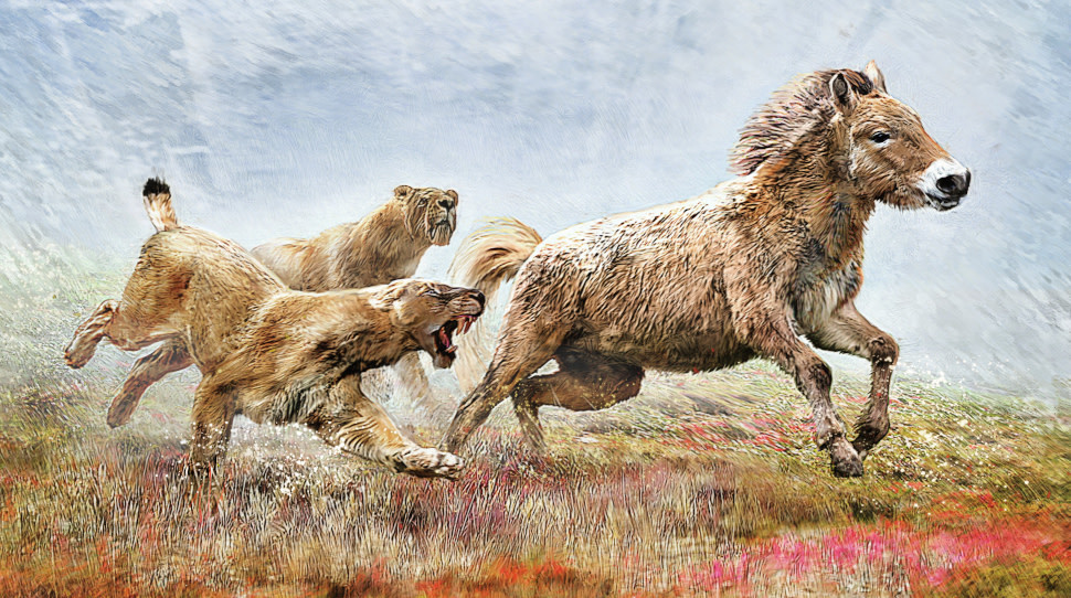 Artist's depiction of scimitar-toothed cats chasing down an ancient horse.  (Illustration: Velizar Simeonovski/University of Copenhagen)