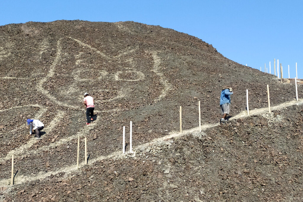 A closer view of the feline geoglyph, with workers for scale.  (Image: Peru’s Ministry of Culture-Nasca-Palpa, AP)
