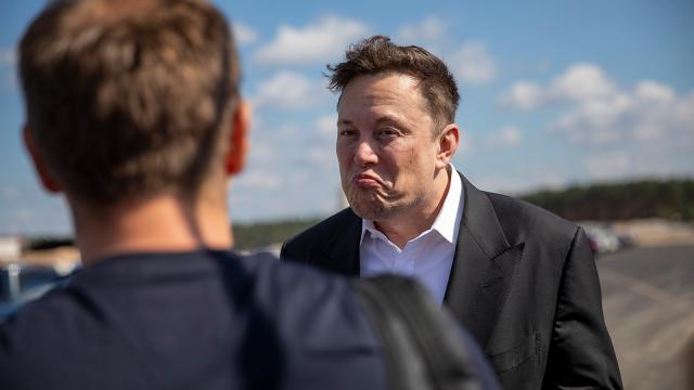 Why Elon Musk Is Getting Owned Over Bolivia’s Election