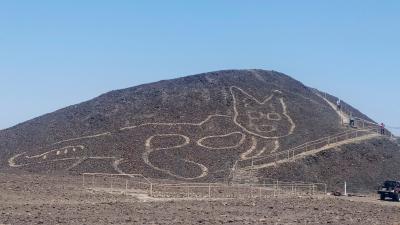 Ancient, 37 Metre-Wide Drawing of Cat Found at Nazca Lines Site in Peru