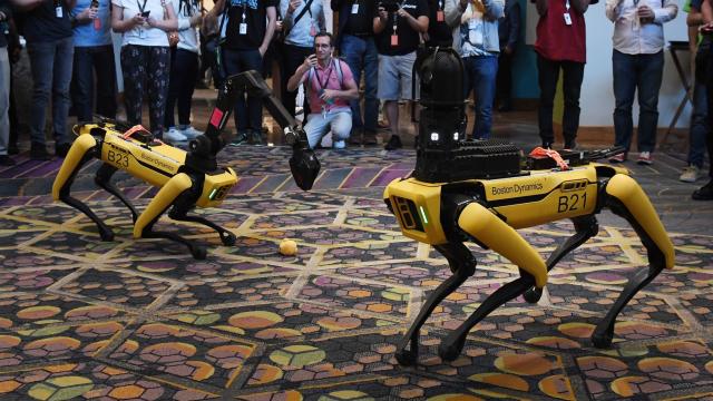 Boston Dynamics Will Sell Robot Arm to Go With Its Robot Dog Next Year, Which Is Totally Fine