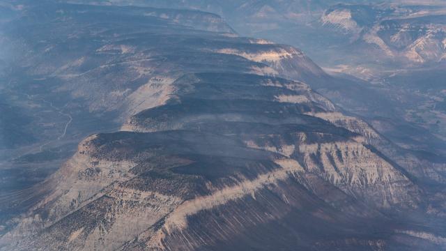 Smoke Exposure or Covid-19? Colorado Governor Says Wildfires Could Mask the Spread of the Virus