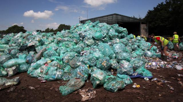 Bioplastic Just as Toxic as Traditional Plastic, Study Finds