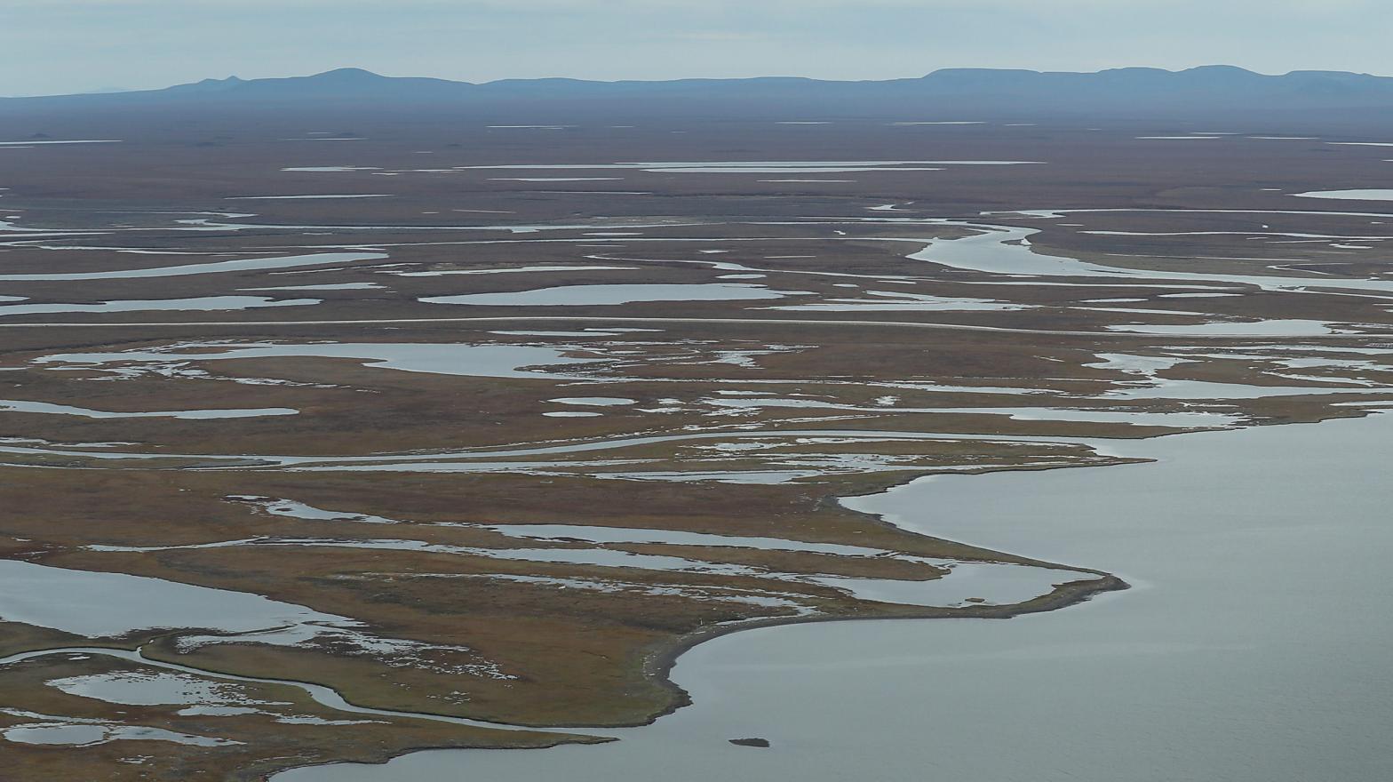 Alaska permafrost. (Photo: Joe Raedle, Getty Images)
