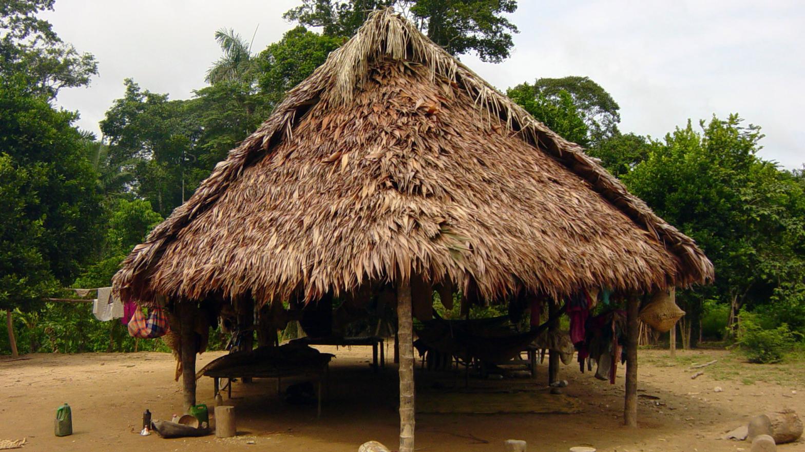 A dwelling of the Tsimane, a group of indigenous people who live in the rural tropics of Bolivia in South America.  (Photo: Michael Gurven/St. Luke’s Health System Kansas City , AP)