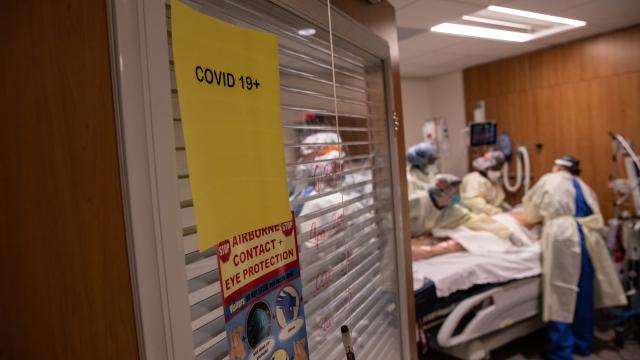 Someone’s Leaked the Covid-19 Hospitalisation Data That Trump’s Kept Under Wraps