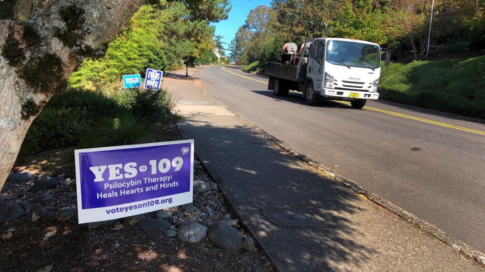A truck drives past a sign supporting a ballot measure in Oregon to legalise the controlled, therapeutic use of psilocybin mushrooms.  (Photo: Andrew Selsky, AP)