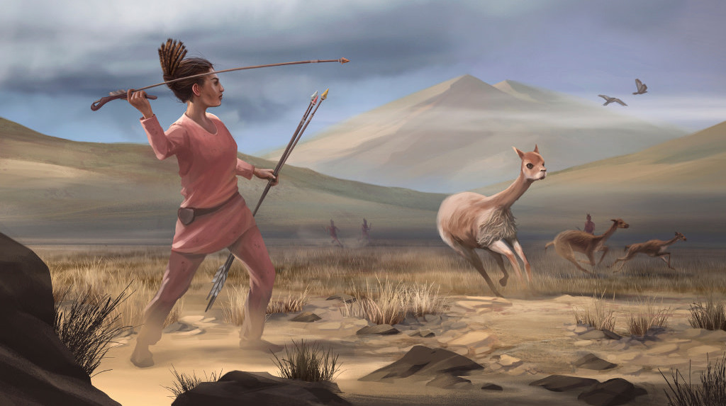 Artist reconstruction of Wilamaya Patjxa vicuña hunt. (Illustration: Matthew Verdolivo (UC Davis IET Academic Technology Services)