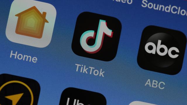 TikTok, Like Us, Wants To Know If It’s Banned Or Not