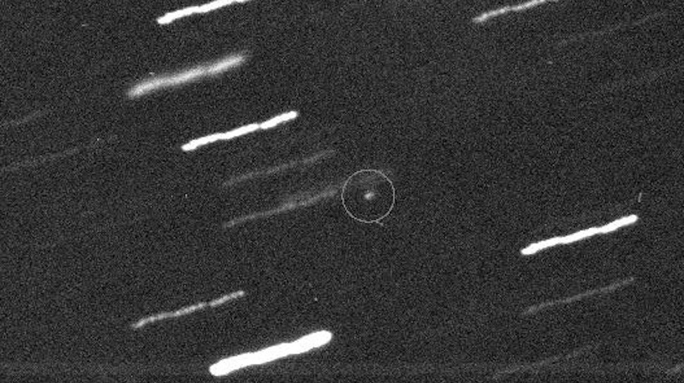 Asteroid Apophis (circled). The streaks are background stars.  (Image: UH/IA/NASA)