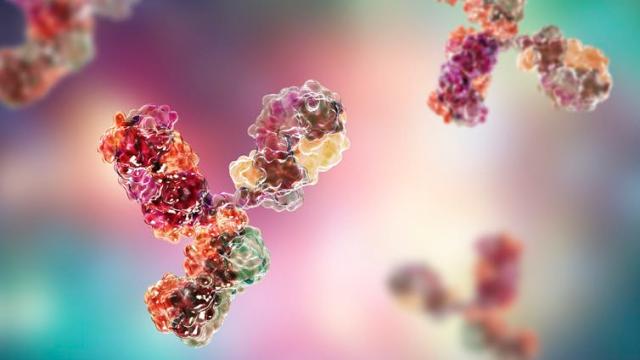 What Monoclonal Antibodies Are And Why We Need Them As Well As A Vaccine