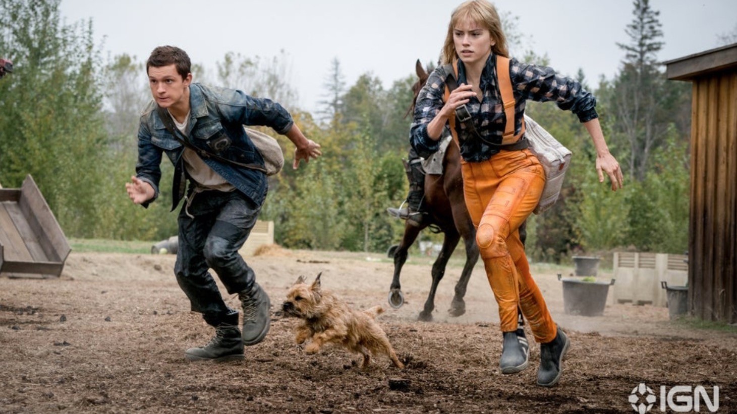 Tom Holland, Daisy Ridley, and an adorable pooch are running in Chaos Walking. (Photo: IGN/Lionsgate)