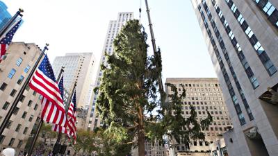 Cancel the Rockefeller Centre Christmas Tree for Good