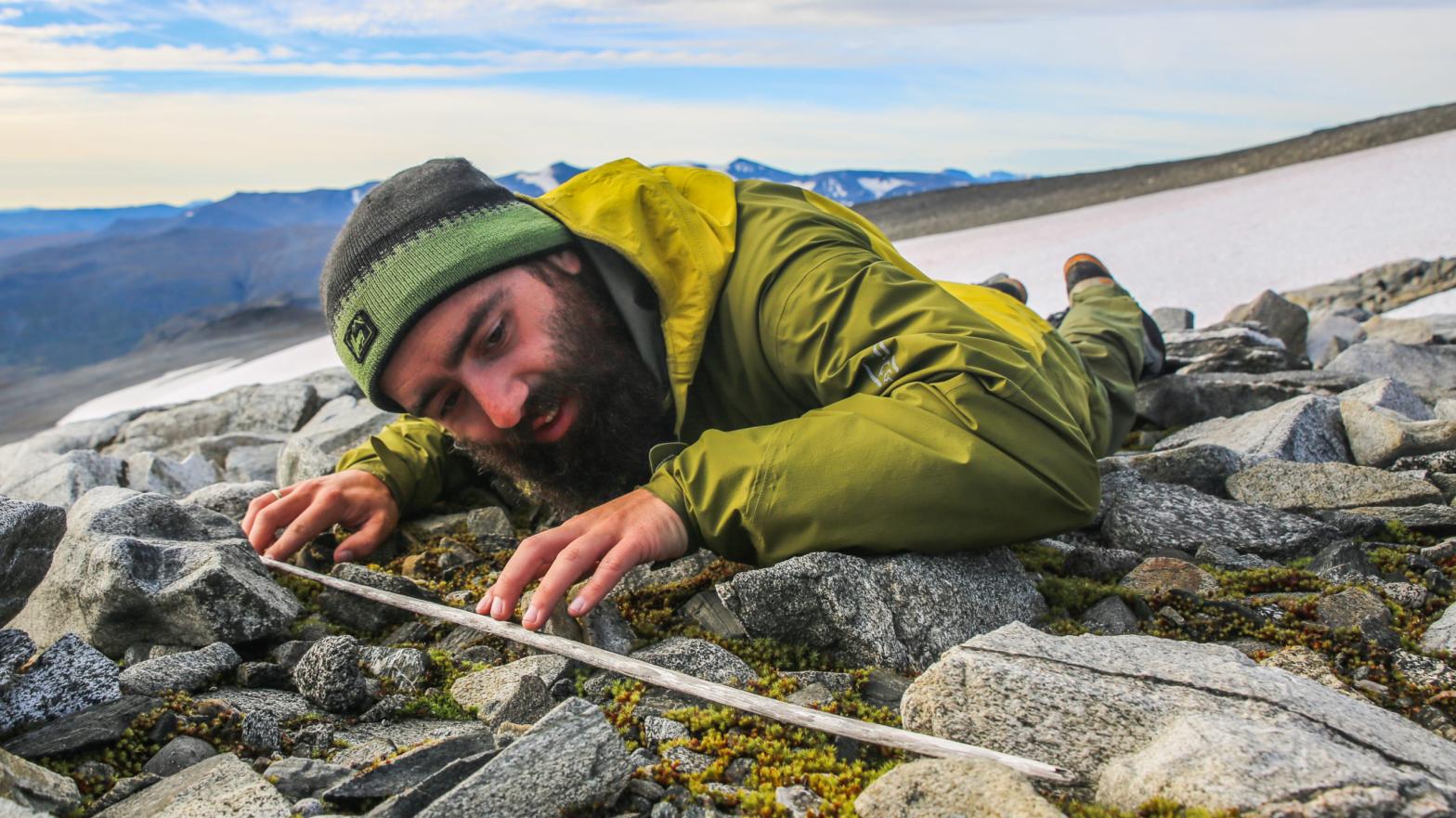 A researcher looks at an artefact found melted out of a Norwegian ice patch. Finds like these are becoming more common as the planet heats up. (Photo: Courtesy Lars Holger Pilø)