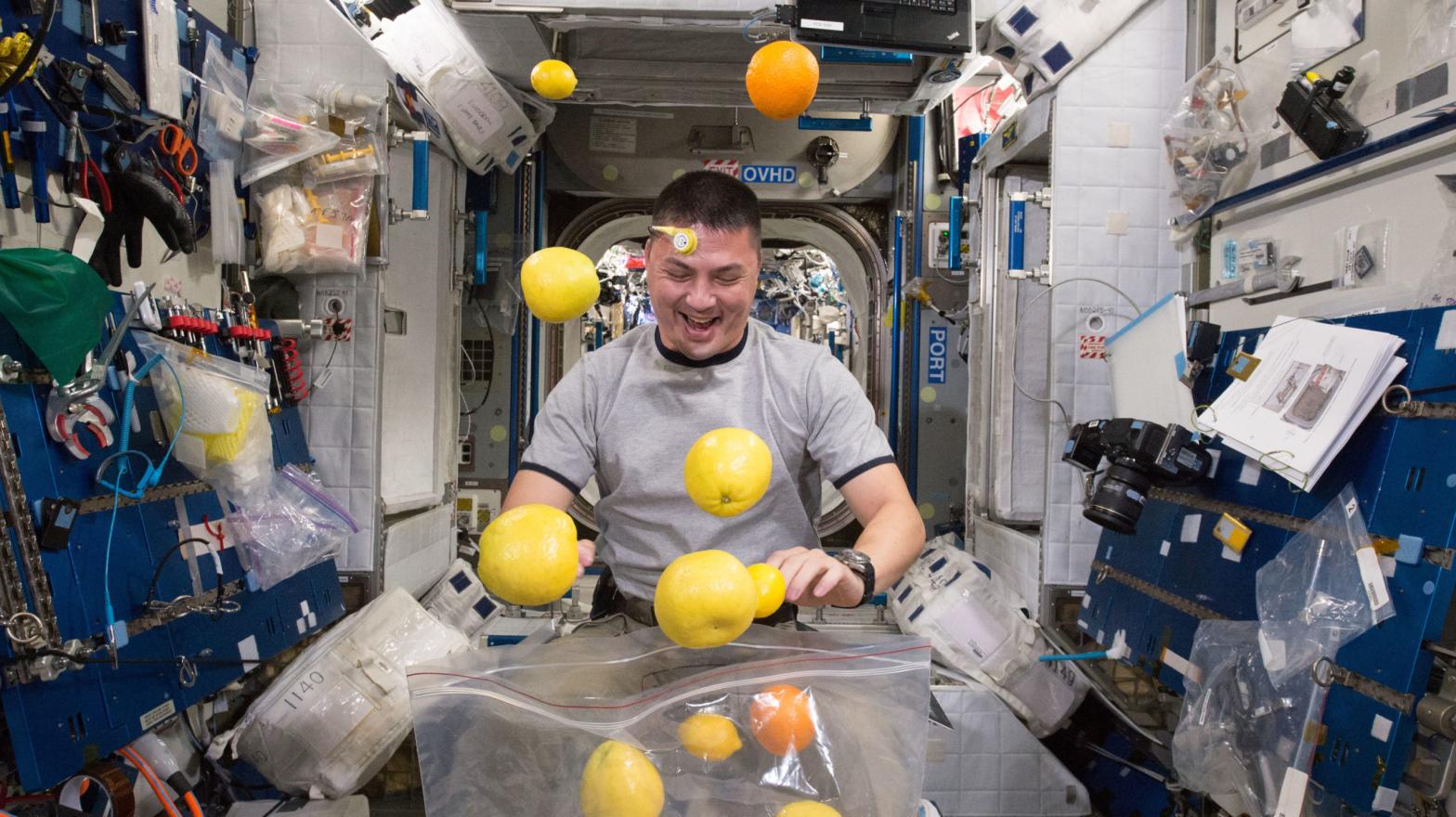NASA astronaut Kjell Lindgren struggling to contain fruit that arrived on the ISS on August 25, 2015. Lindgren was one of 10 astronauts included in a new study looking into the effects of long-duration missions.  (Image: NASA)