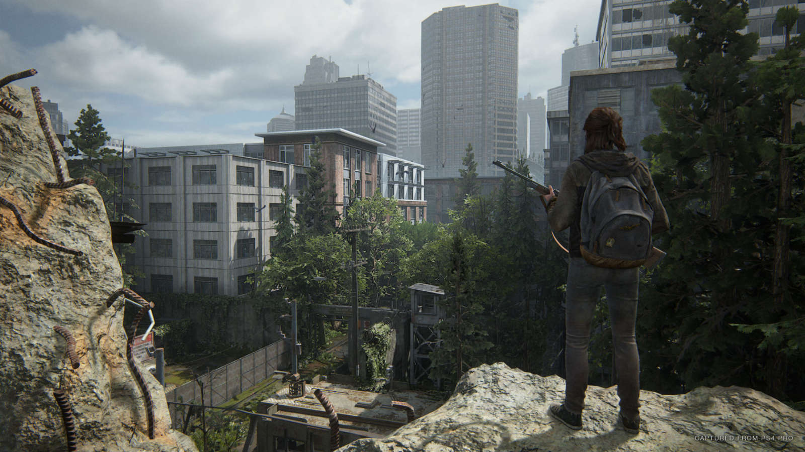 The Last of Us Part II (Image: Naughty Dog/Sony)