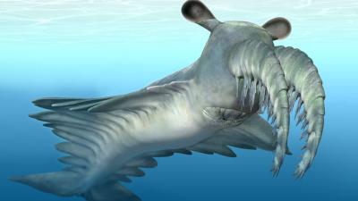 Freaky ‘Frankenprawns’ – Ancient Deep Sea Monsters Called Radiodonts Had Incredible Vision