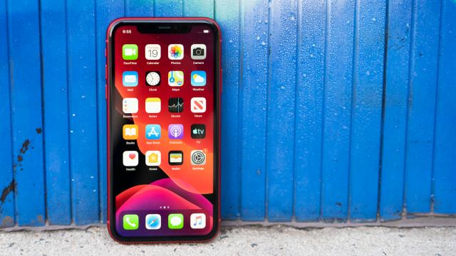 Got an iPhone 11? Apple May Replace Your Display for Free