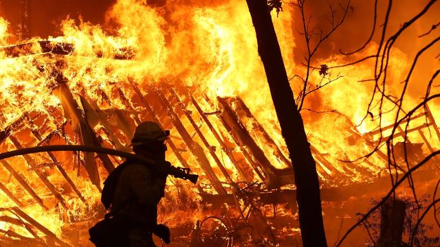 California’s Hellish 2018 Wildfires Cost the U.S. Economy $200 Billion