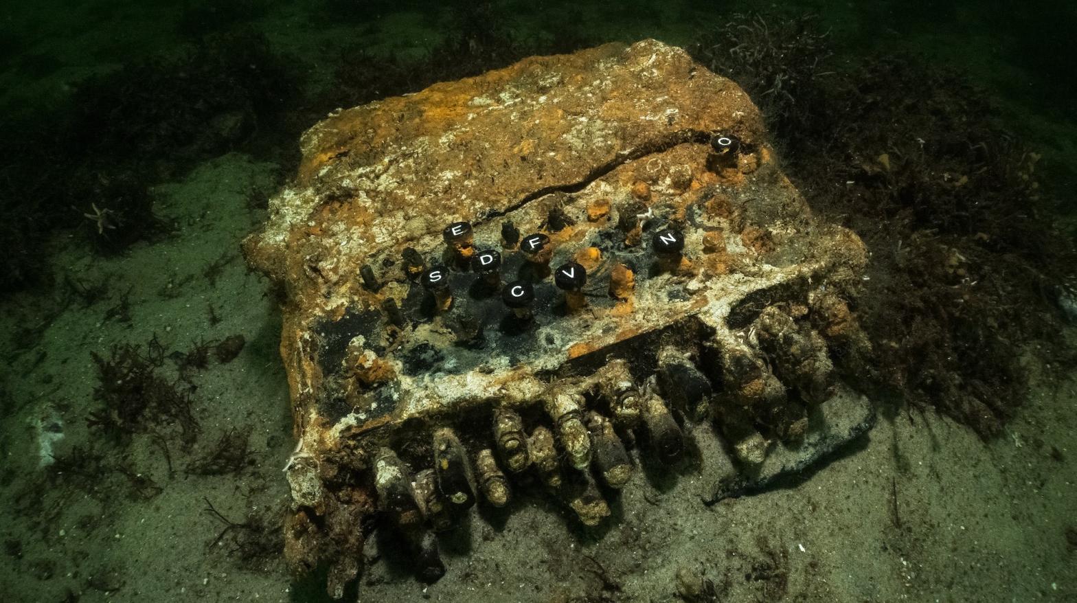 The three-rotor Enigma machine at the bottom of the Baltic Sea.  (Image: Florian Huber)