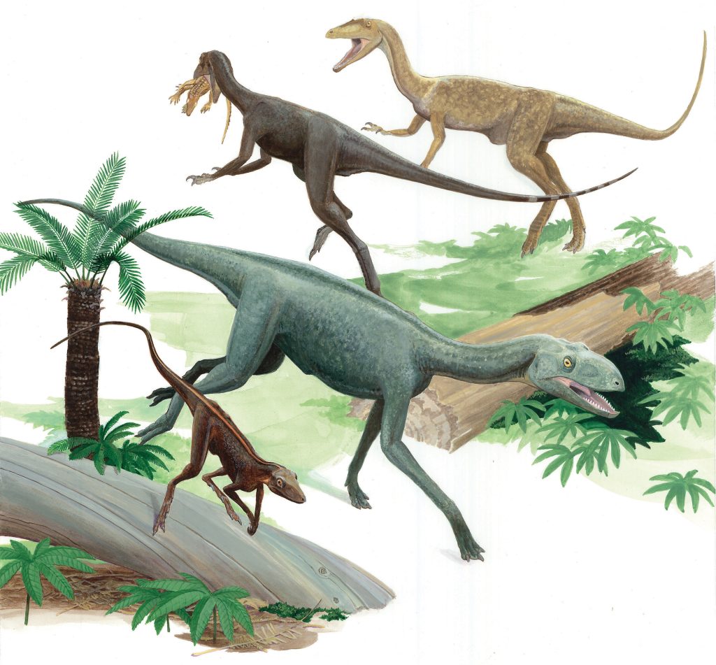Artist's impression of two largerpetids (in the foreground) with two dinosaurs in the background.  (Image: Donna Braginetz)