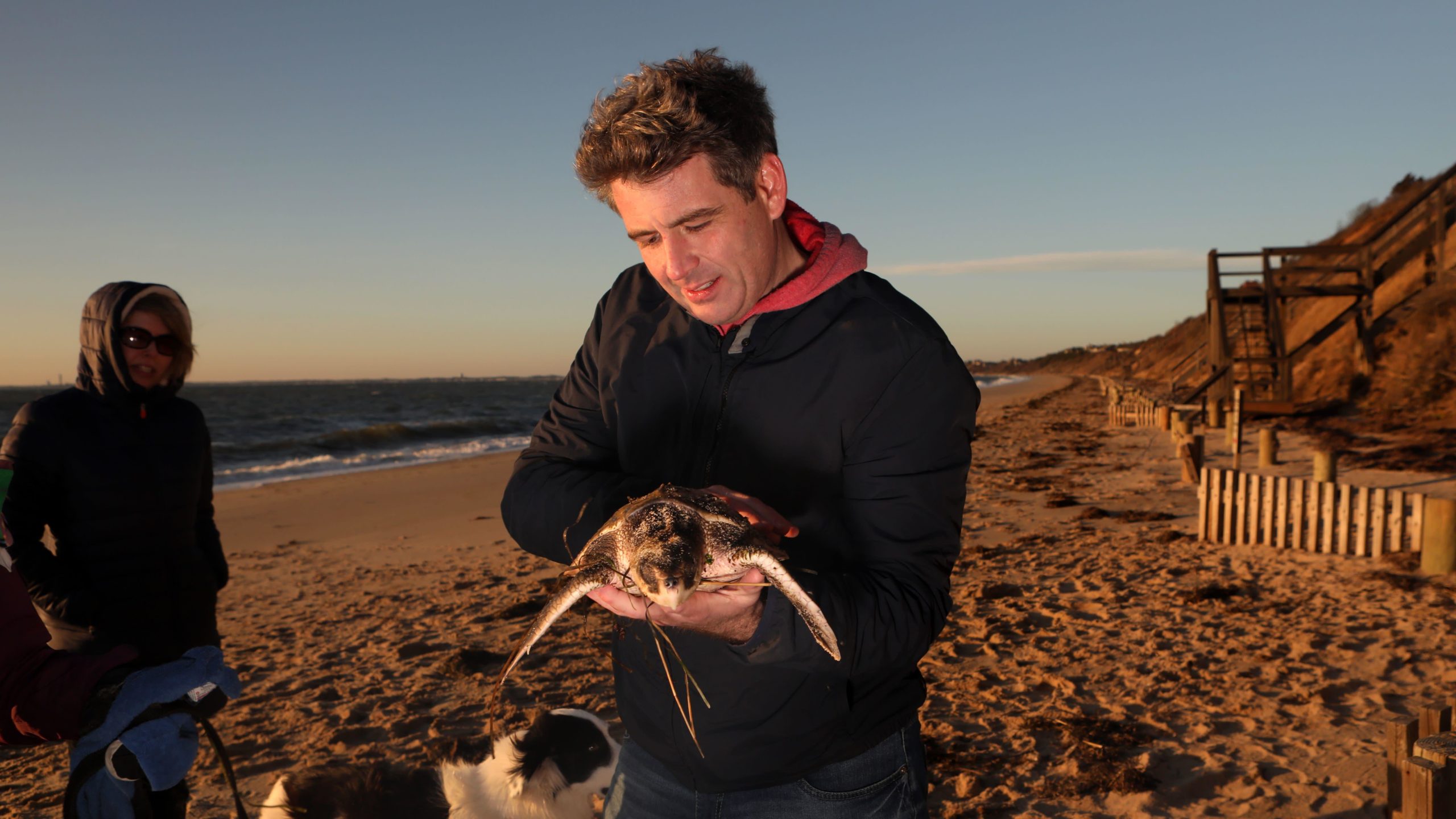 Richard Lammert holds a cold-stunned Kemp's ridley sea turtle rescued off of Great Hallow beach in Cape Cod on Dec. 3, 2020.  (Photo: Lauren Owens Lambert / AFP, Getty Images)