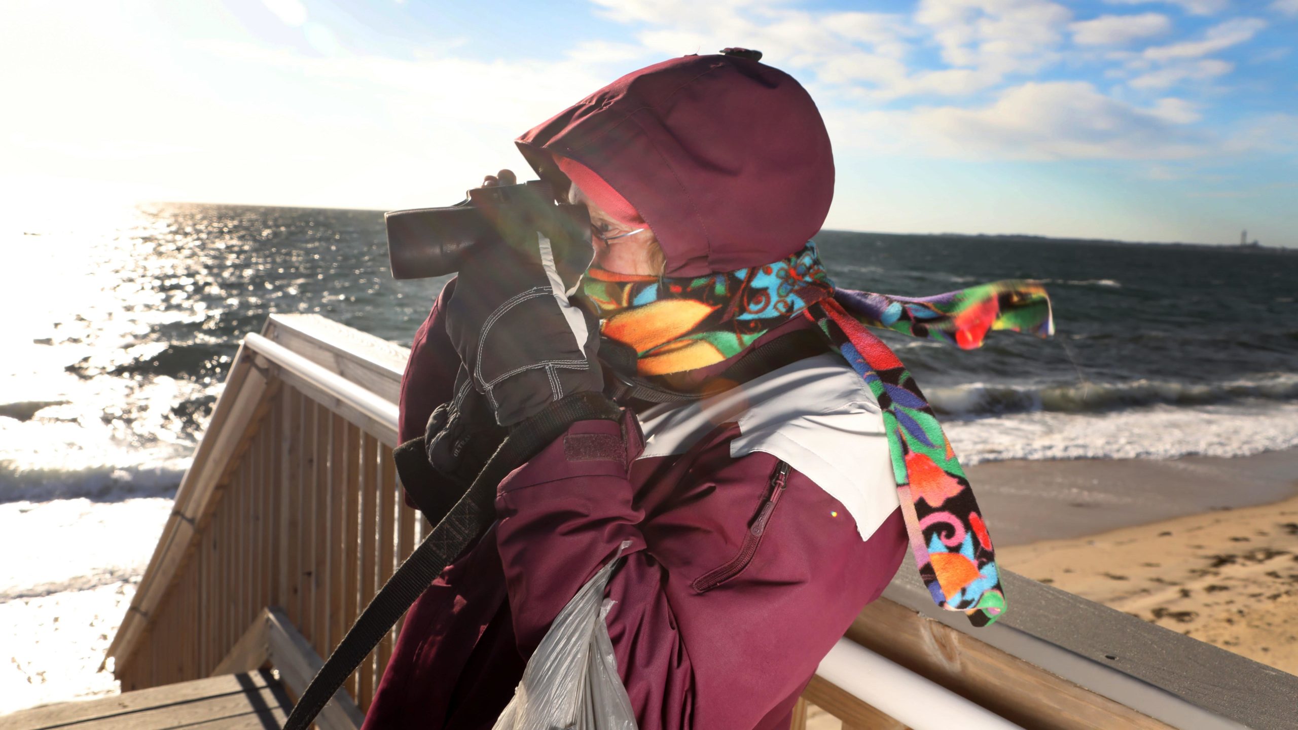 Nancy Braun from Truro looks through binoculars at Noons Landing on Cape Cod as she searches for endangered sea turtles washed up on shore and cold-stunned on December 3, 2020.  (Photo: Lauren Owens Lambert / AFP, Getty Images)