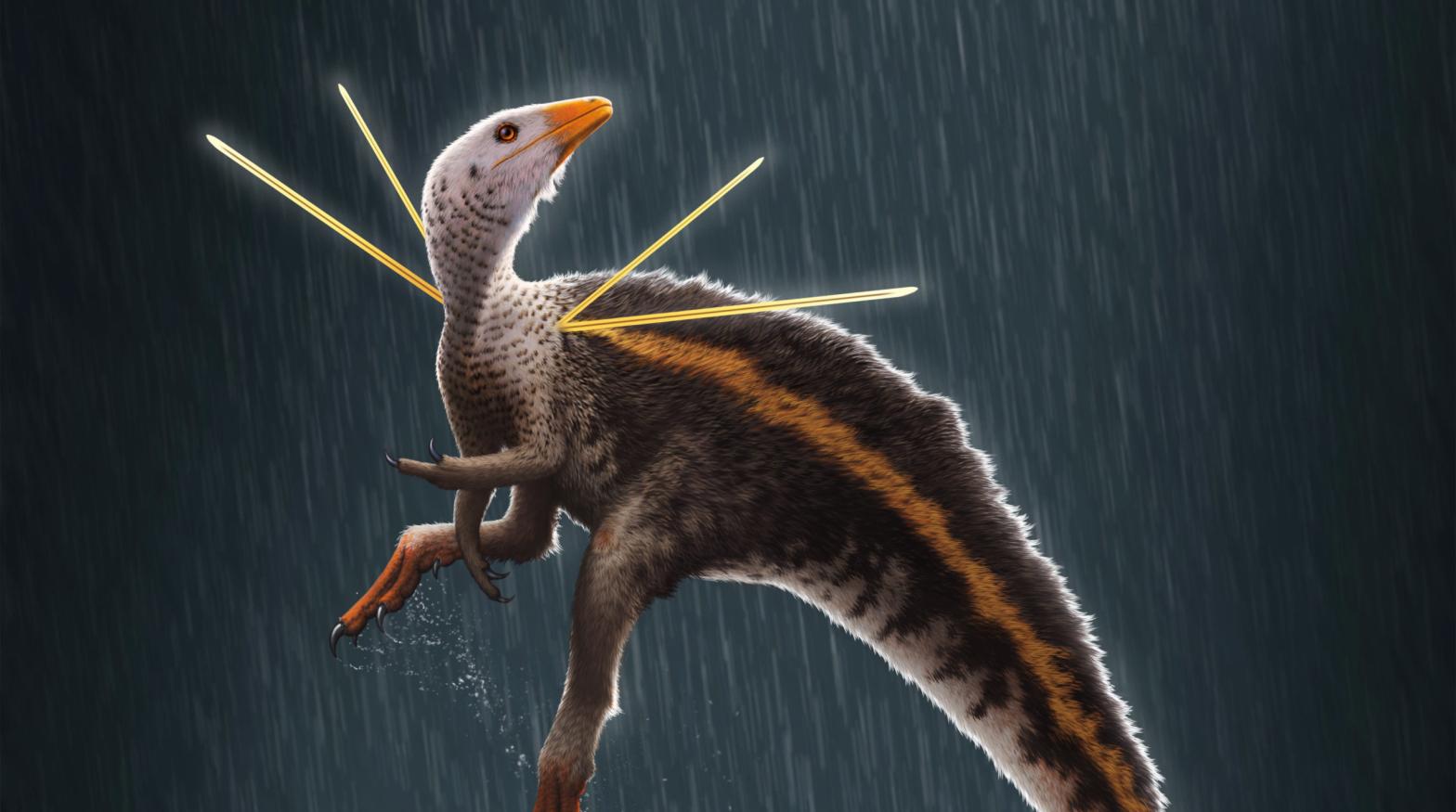 Artist's impression of Ubirajara jubatus. (Illustration: Bob Nicholls/Paleocreations.com 2020)